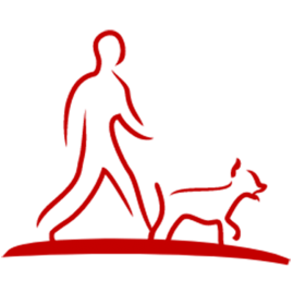 msapplication-TileImage